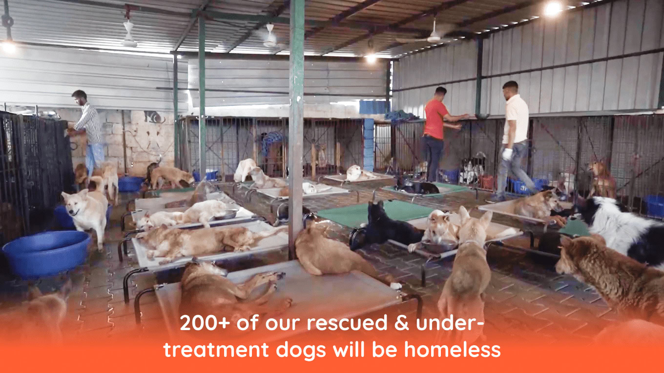 donation-landing_image_07