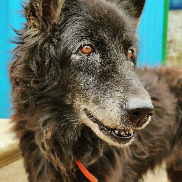 release_time-to-go-back-home_image_01